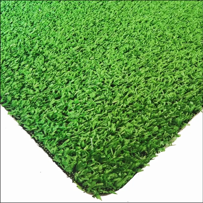See More About Carpet Grass CG8