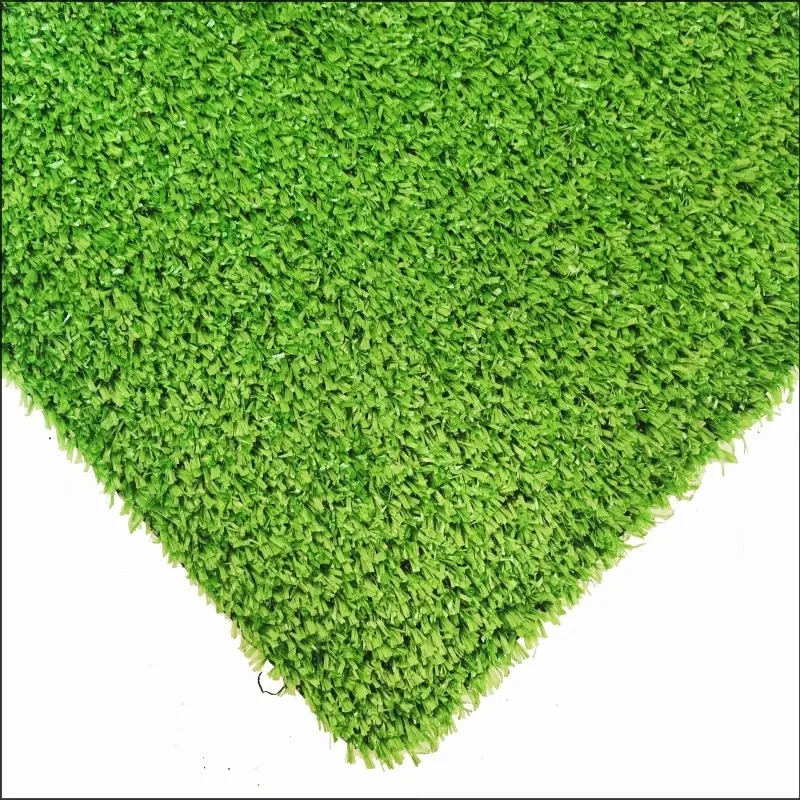 See More About Carpet Grass CG10