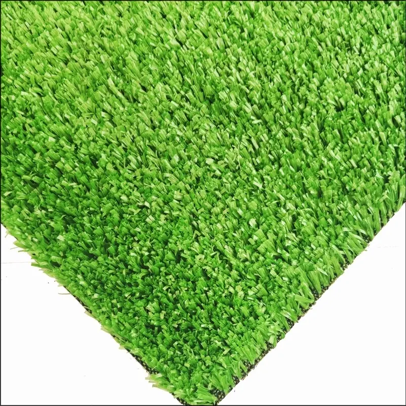 See More About Carpet Grass CG15