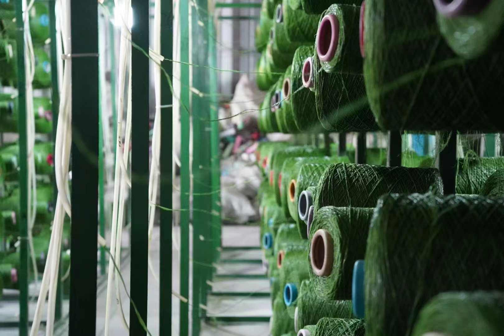 turf grass for sale