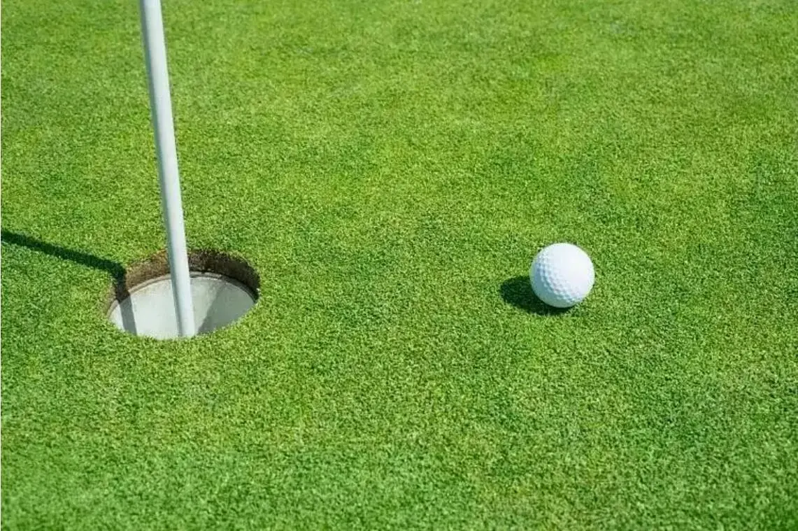 Realistic and Durable Golf Grass for All-Level Golfers